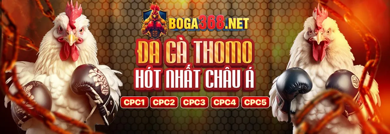 Hỗ trợ khách hàng vic88 chính thức